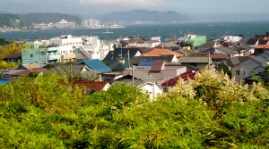 P9980030 (300x167)