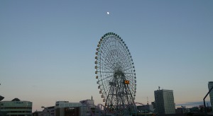 P1000189 (300x164)