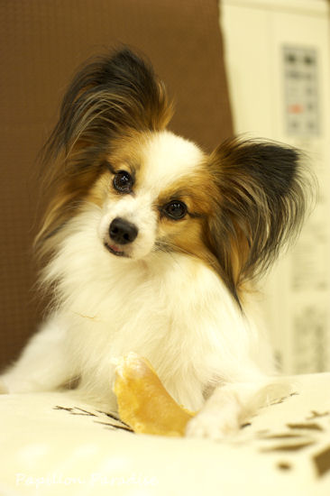 2011090401.jpg