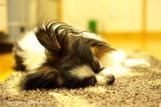 2011090918.jpg