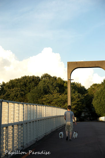 2011091102.jpg