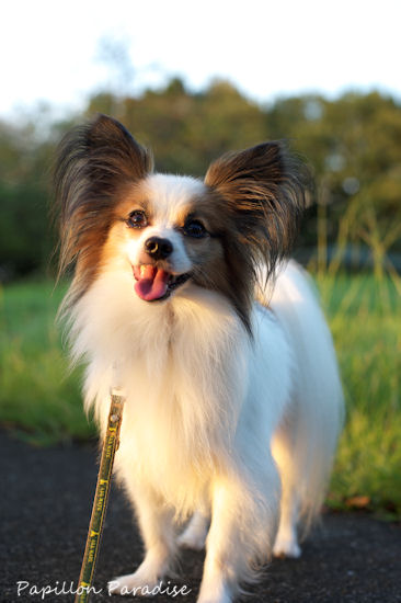2011091107.jpg