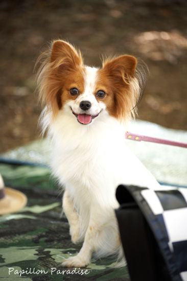 2011091813.jpg