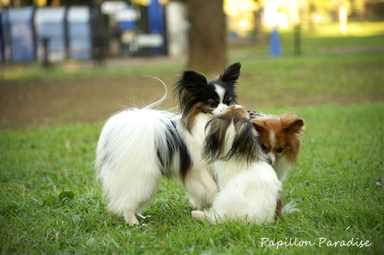 2011091859.jpg