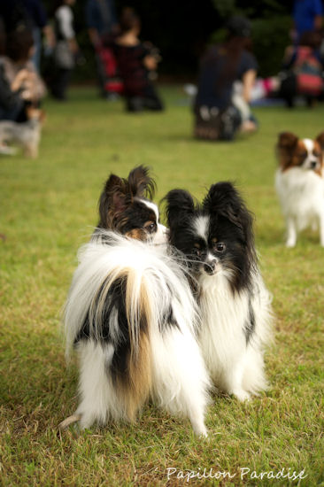 2011100918.jpg