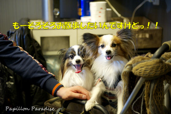 2013021714.jpg