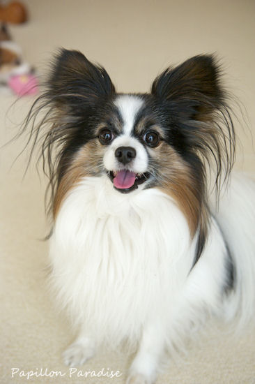 2013022302.jpg