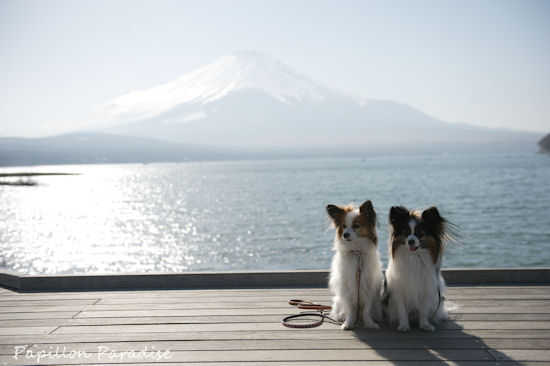 2013030919.jpg