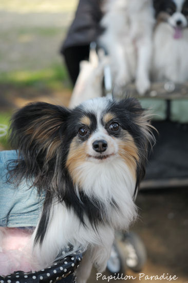 2013031606.jpg