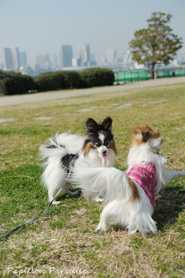 2013031630.jpg