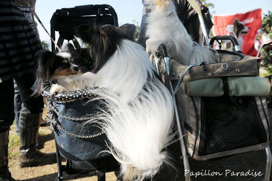2013031643.jpg