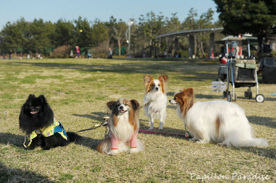 2013031663.jpg