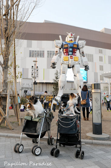 2013031665.jpg