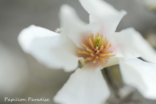 2013032015.jpg