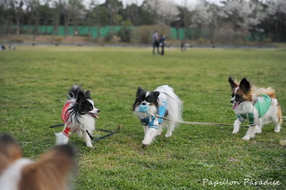 2013032428.jpg