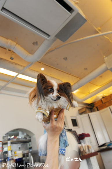2013032442.jpg