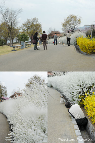 2013033126.jpg