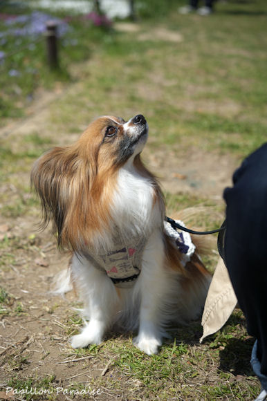 2013041309.jpg