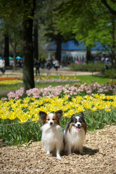 2013041316.jpg