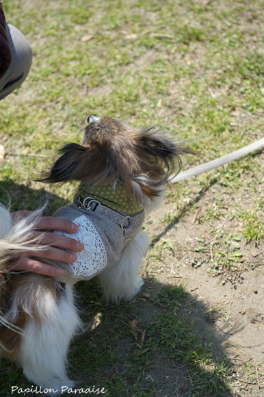 2013041323.jpg