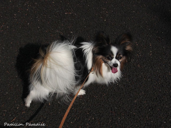 2013042702.jpg