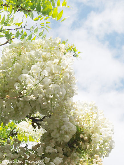 2013042704.jpg