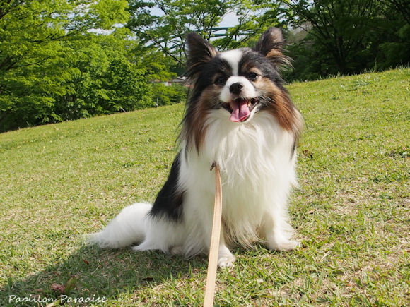 2013042707.jpg