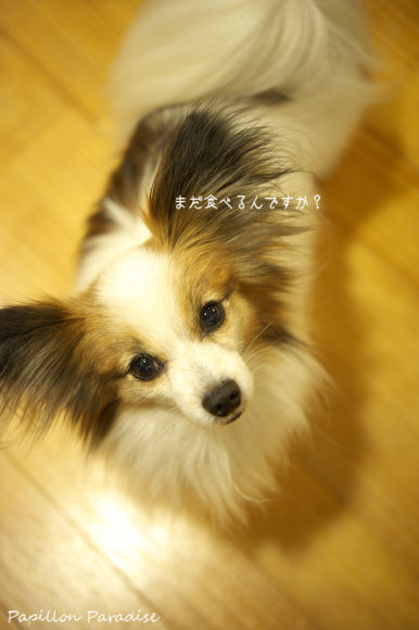 2013050512.jpg