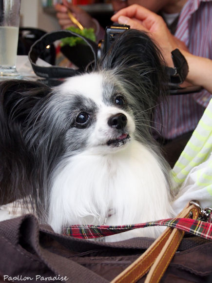 2013051107.jpg