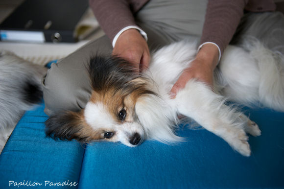 2013051806.jpg
