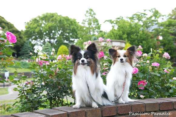 2013051828.jpg