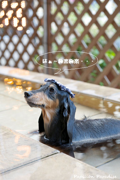 2013060819.jpg