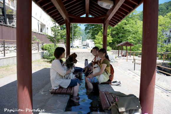 2013060910.jpg