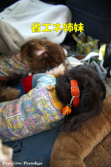 2013060928.jpg