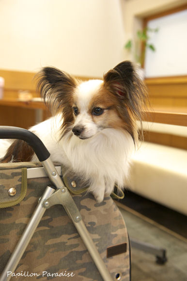 2013061501.jpg