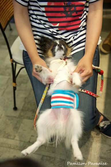 2013061516.jpg