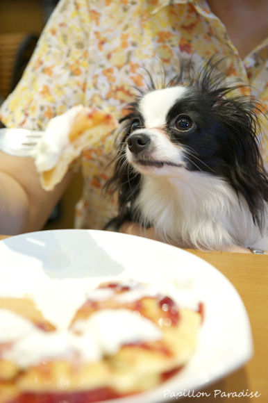 2013061523.jpg