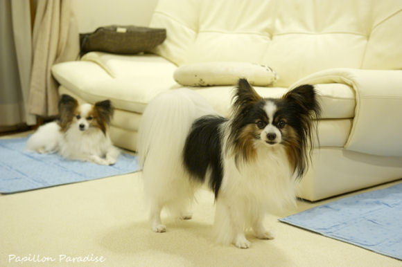 2013070707.jpg