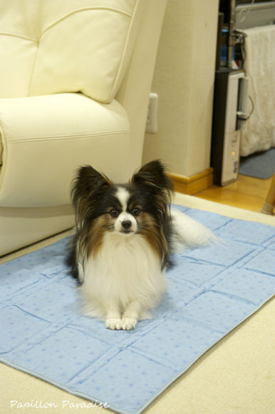 2013070708.jpg