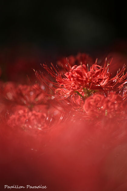 2014092301.jpg