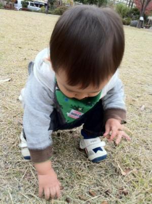 donguri_convert_20111110220933.jpg