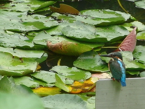 2011100202.jpg