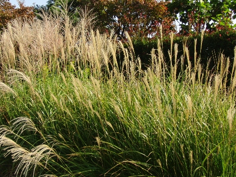 2011101007.jpg