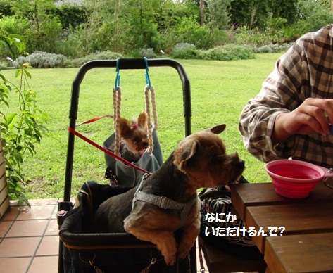 2011102404.jpg