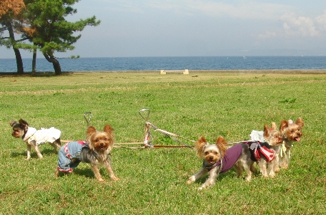2011102501.jpg