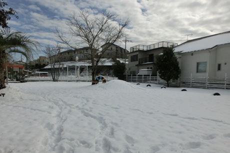 2014020902.jpg
