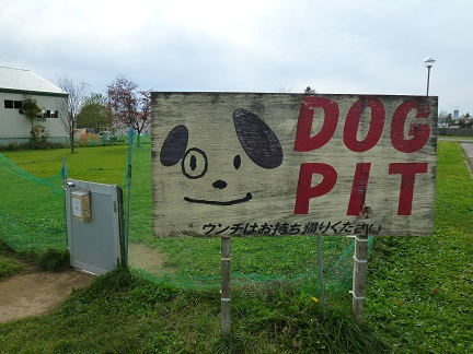 P1020739.jpg