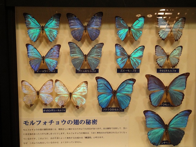 DSC02880.jpg