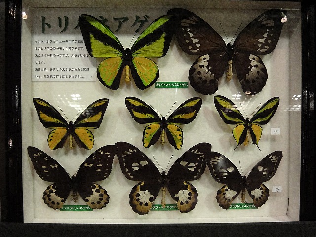 DSC02881.jpg