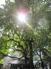 IMG_1522.jpg